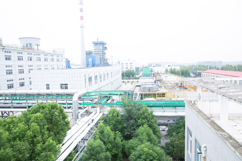 廠(chǎng)容廠(chǎng)貌